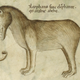 Illustration for article titled How Europeans Imagined Exotic Animals Centuries Ago, Based on Hearsay